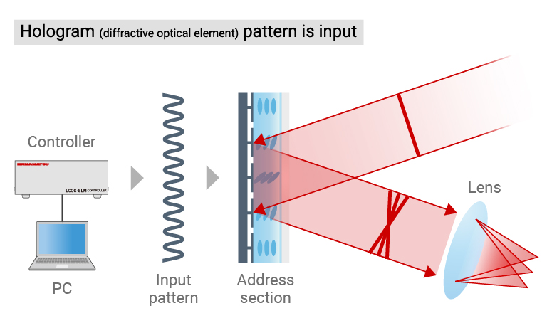 Schematic diagram of beam splitting using LCOS-SLM