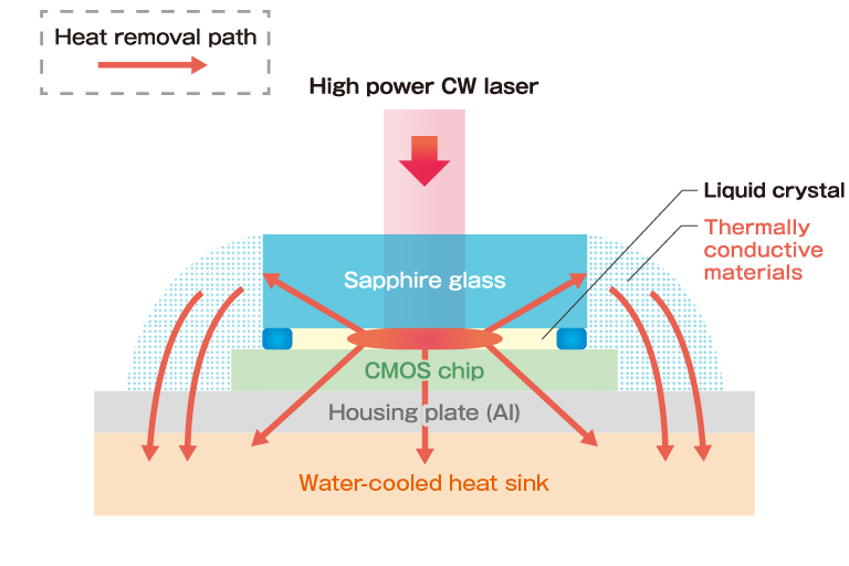 Principle image