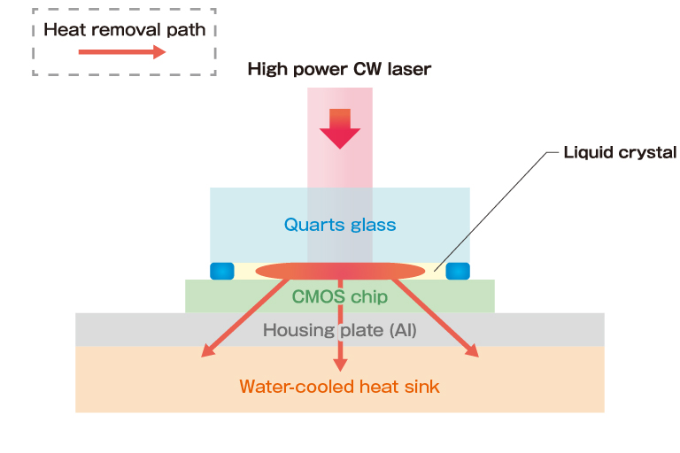 Principle image