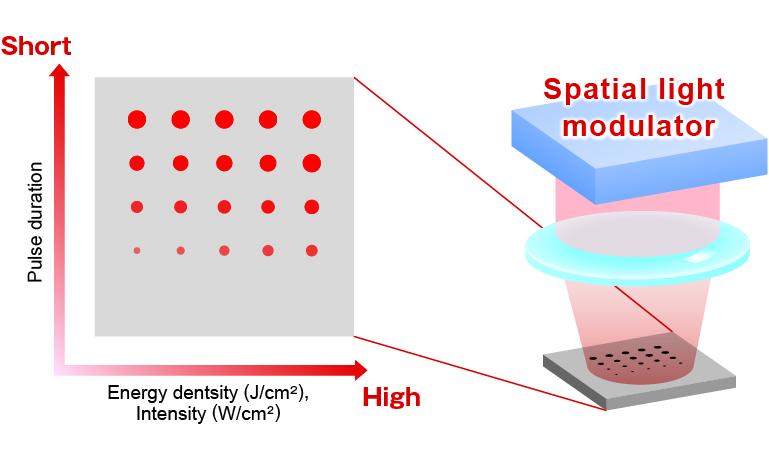 Spatial light modulator